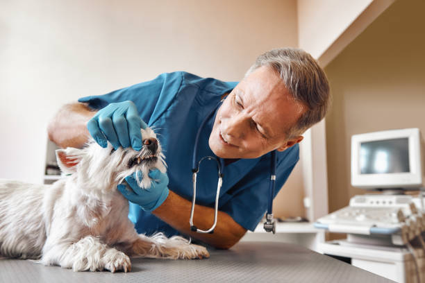  Covington, GA Emergency Dentist Pros